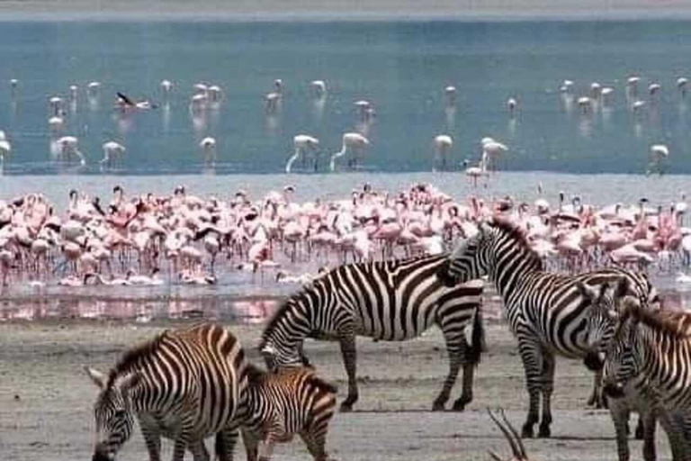 Nairobi: Lake Nakuru National Park Day Trip Safari
