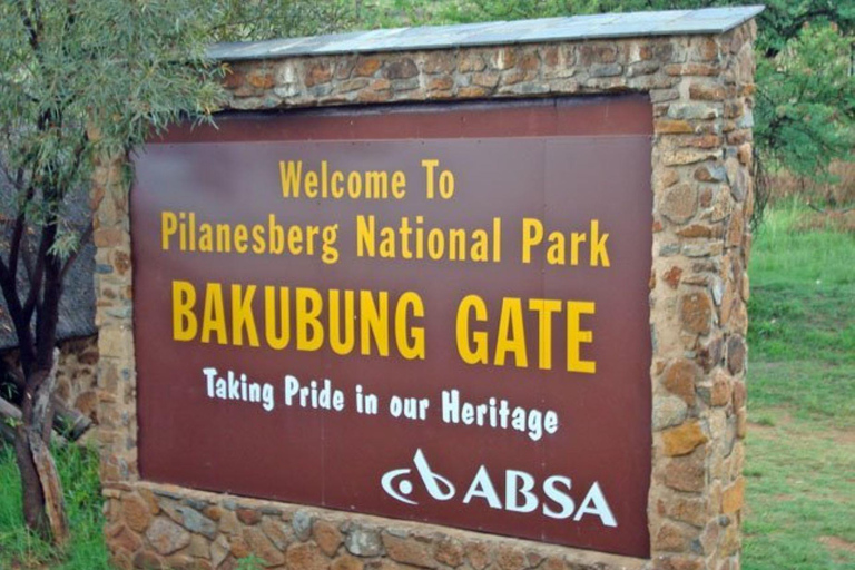 Pilanesberg wildreservaat safari met ophaalservice in Johannesburg