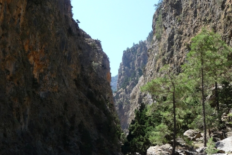 Au départ de Rethymno : Randonnée d'une journée dans les gorges de Samaria avec ramassage.de Gerani, Petres, Dramia, Kavros, Georgioupolis