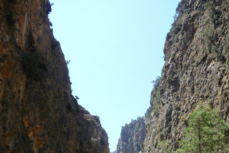 From Rethymno: Samaria Gorge Full-Day Trek with Pickup From Gerani, Petres, Dramia, Kavros, and Georgioupolis