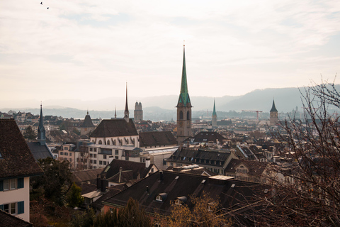 Zurich: Rhine Falls, Chocolate Factory, and City Tour