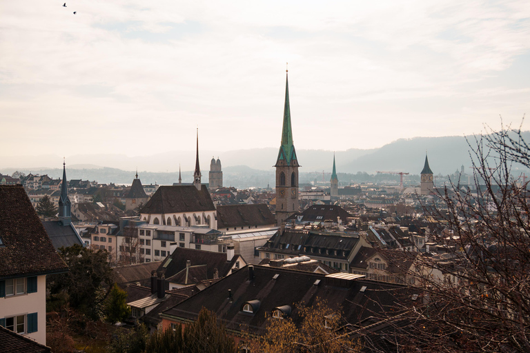 Zurich: Rhine Falls, Chocolate Factory, and City Tour