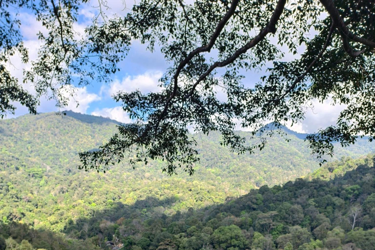 Chiang Mai: excursión de un día al Giant Café y al pueblo de Mae KampongChiang Mai: Excursión de un día al Café Gigante y al pueblo de Mae Kampong