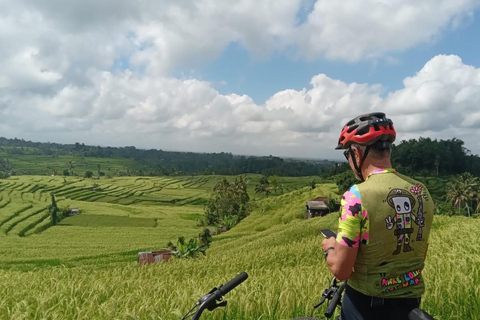 Bali: pola ryżowe, wioska ptaków, wycieczka rowerowa do gorących źródełBali: pola ryżowe, wioska ptaków, gorące źródła – wycieczka rowerowa