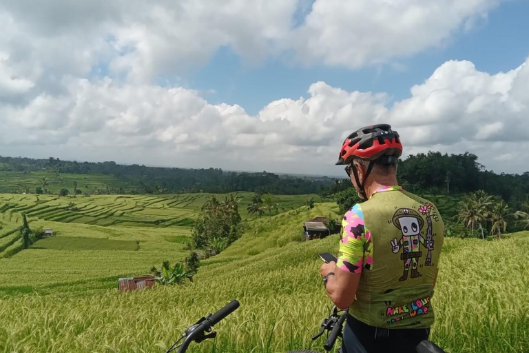 Bali: pola ryżowe, wioska ptaków, wycieczka rowerowa do gorących źródełBali: pola ryżowe, wioska ptaków, gorące źródła – wycieczka rowerowa