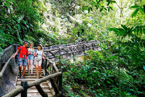 Costa Rica in 4 Days: Wildlife, Hot Springs & Tortillas