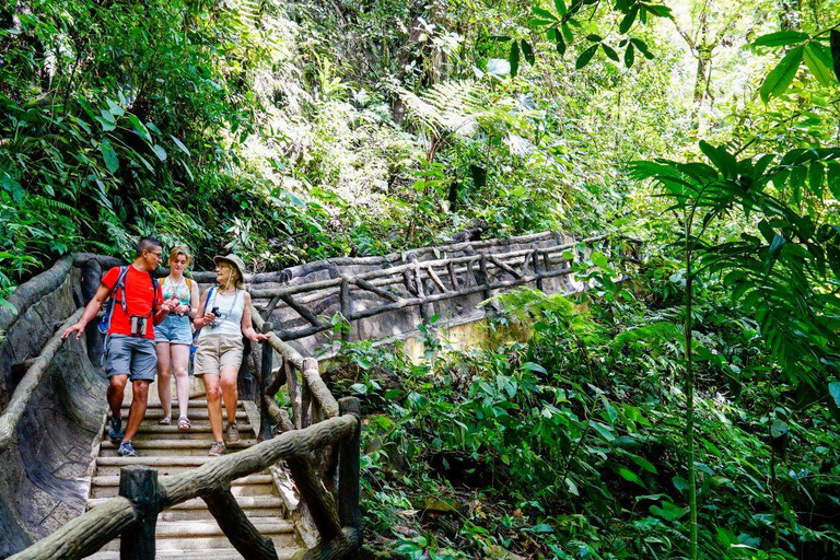 Costa Rica in 4 Days: Wildlife, Hot Springs & Tortillas