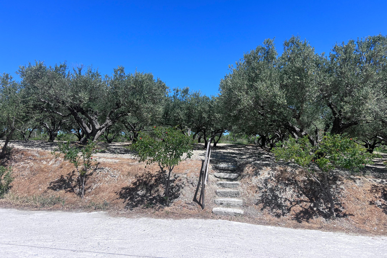 Crete Olive oil tasting ,wine, raki, and cretan food!