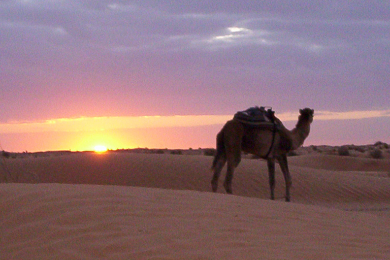 2D Tataouine, Ksar Ghilane & Matmata tour with night in tent
