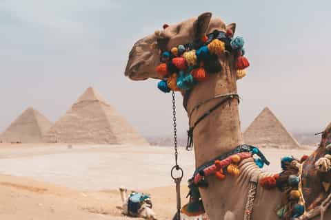 From Hurghada: Full-Day Trip to Cairo & Giza with BBQ Lunch