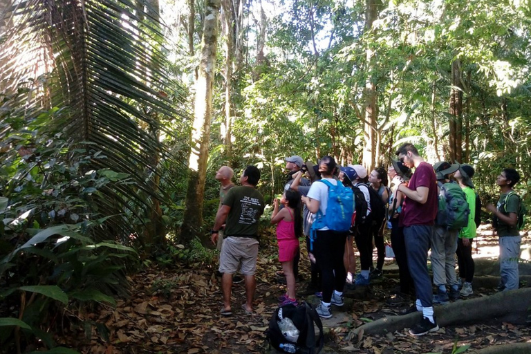 Excursión de 4 días a la selva del Manu desde Cusco