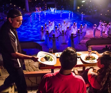Ingresso allo spettacolo notturno del Parco Xcaret
