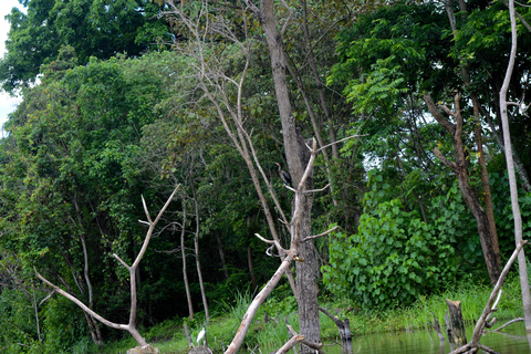 Duluti-See: Kanufahren, Naturwanderung und ExtraKajakfahren, Spaziergang in der Natur und Töpferkurs