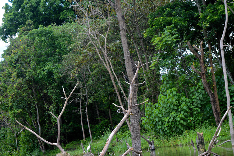 Duluti-See: Kanufahren, Naturwanderung und ExtraKajakfahren, Spaziergang in der Natur und Töpferkurs