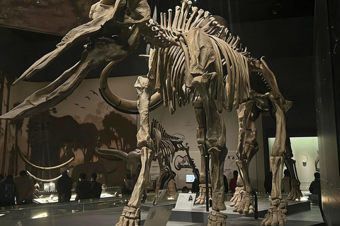 Beijing: National Museum of China Private Guided Tour Portuguese private tour