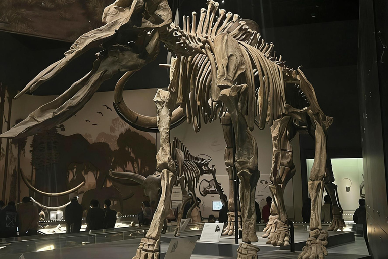 Beijing: National Museum of China Private Guided Tour Portuguese private tour