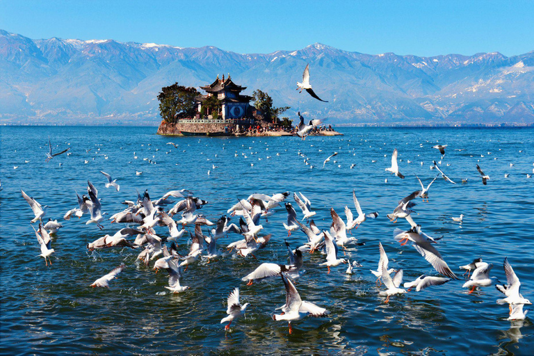 Kunming: 7-Day Yunnan Highlights Tour