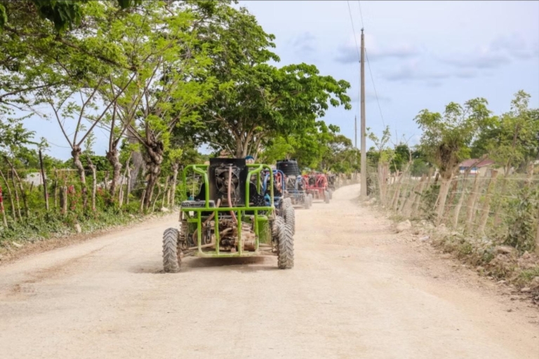 Z Punta Cana lub La Romana: Buggy lub quad na polach trzciny cukrowejZ La Romana lub Bayahibe