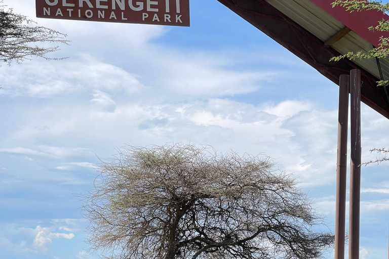 恩戈罗恩戈罗至吉力马扎罗山麓2日经济之旅恩戈罗恩戈罗至马特鲁尼和咖啡之旅（2 天经济之旅）