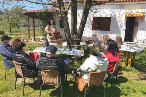 Olympia: Group Tour with entry tickets & tasting experience