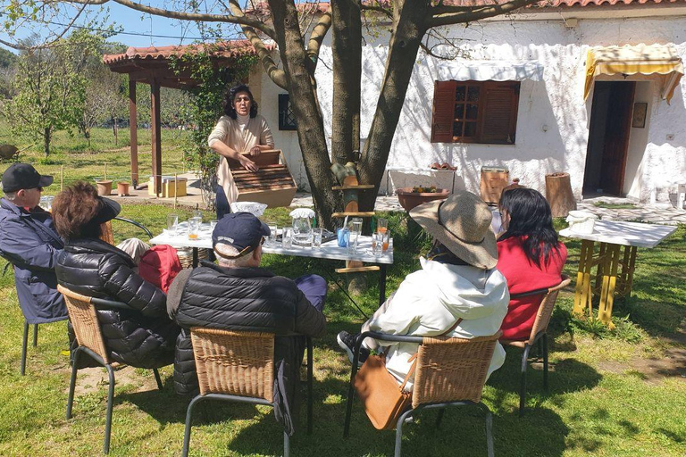 Olympia: Group Tour with entry tickets & tasting experience