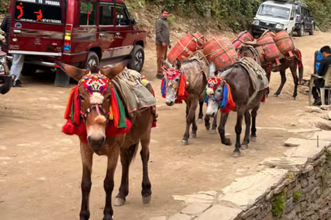 Pokhara: Annapurna base camp Trek with Female Guide