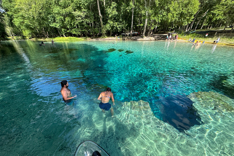 Gilchrist Blue: Clear Kayak Eco Tour