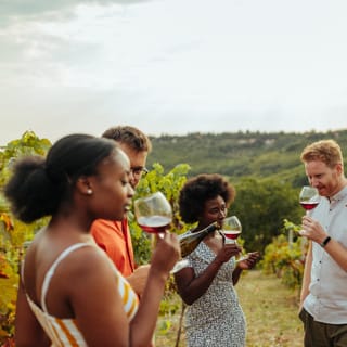 Twin Falls: Guided Half-Day Scenic Tour and Wine Tasting