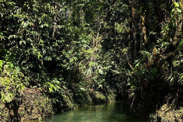 COLOMBIAN XCARET- Angostura Canyon Valle del Cauca