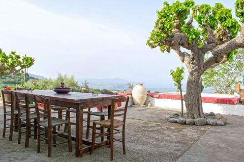 Chania: Kreteńskie wino, oliwa z oliwek i warsztaty kulinarne