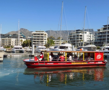 Cape Town: 30 Minute Seal-Watching Harbour Cruise