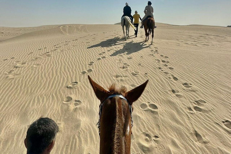 جولة الدوحة: جولة صحراوية بصحبة مرشد سياحي مع حصان عربي