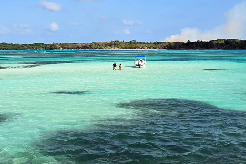 Tobago: Tour en barco por el Arrecife Buccoo y la Piscina Nylon con traslado