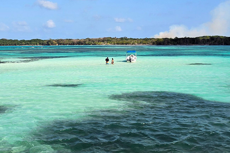 Tobago: Tour en barco por el Arrecife Buccoo y la Piscina Nylon con traslado