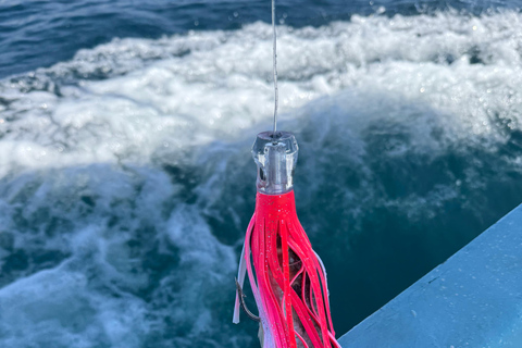 Puerto: Fishing Experience Marlin, Sailfish, Tuna or Dorado