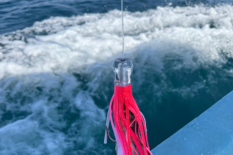 Puerto: Fishing Experience Marlin, Sailfish, Tuna or Dorado