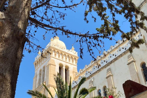 Tunis: Group guided visit, Carthage, Sidi Bou Said + Pickup from the HARBOR/HAM Pick-up from Hammamet/Nabeul/Yassmine Hammamet