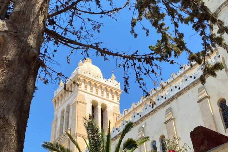 Tunis: Group guided visit, Carthage, Sidi Bou Said + Pickup from the HARBOR/HAM Pick-up from Hammamet/Nabeul/Yassmine Hammamet