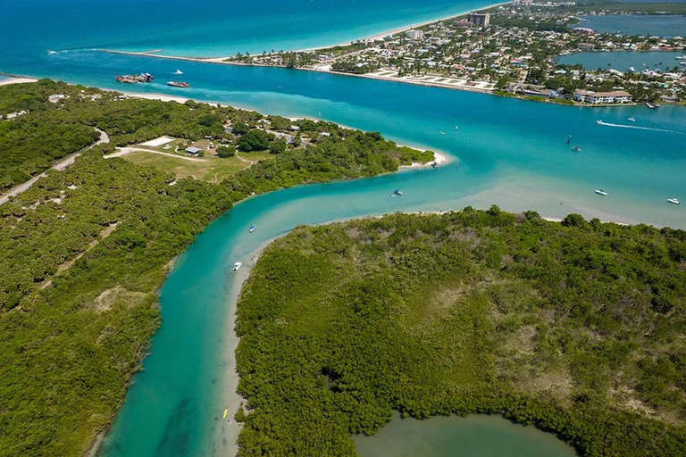 Fort Pierce: Clear Kayak Tour with Wildlife Sightings