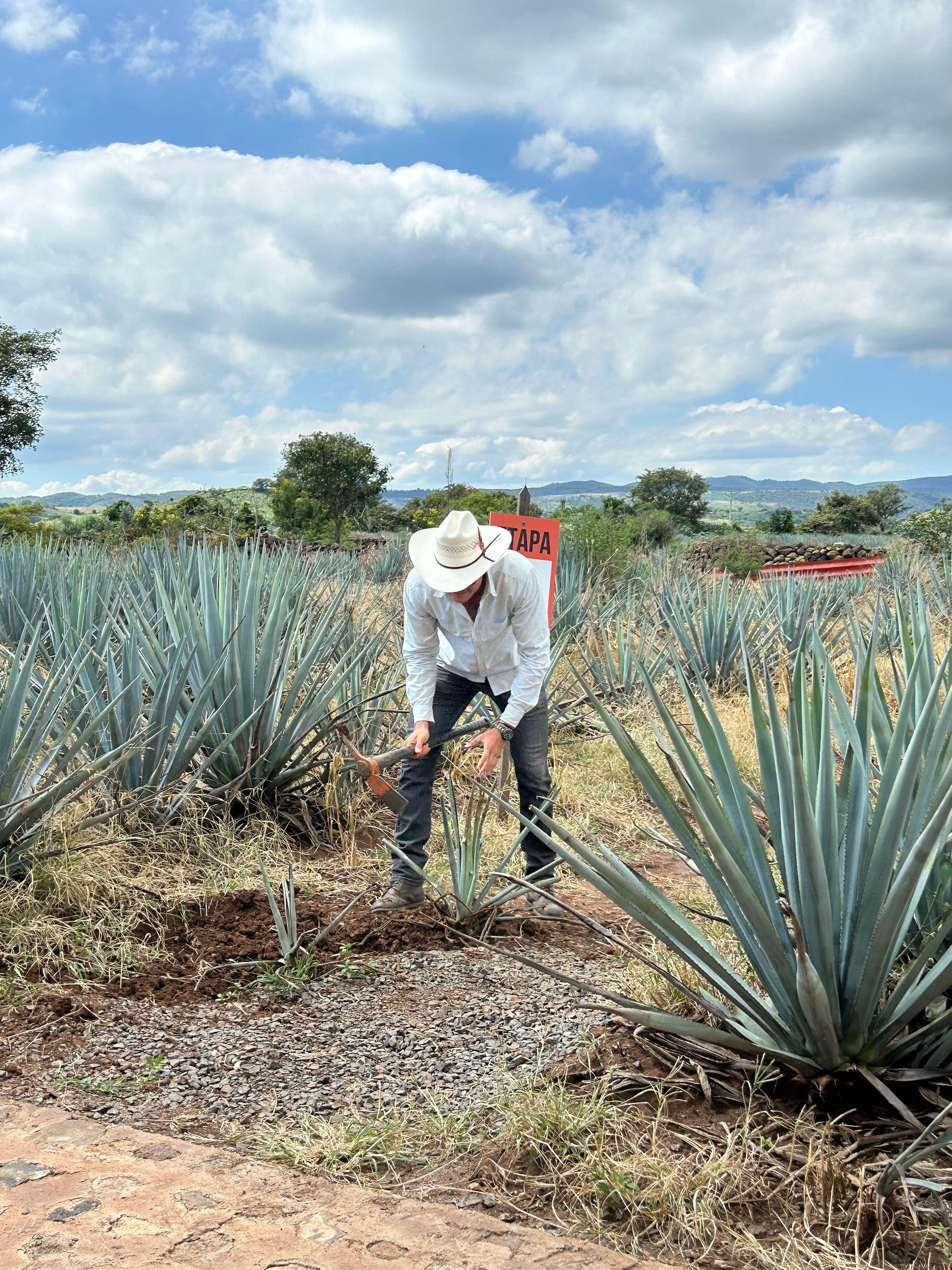 Guadalajara: Premium Tequila Tour mit Verkostungen und Kombinationen