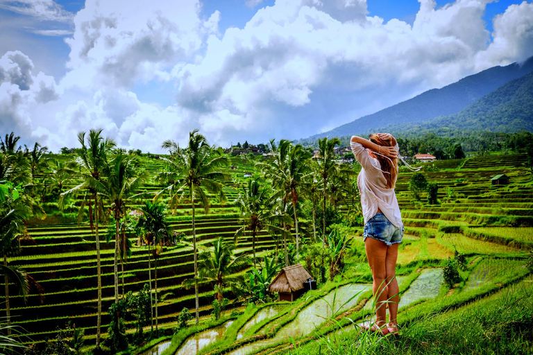 Ubud: Avventura in zip-line, rafting e tour delle terrazze di risoTour con zip-line e terrazze di riso (senza rafting)