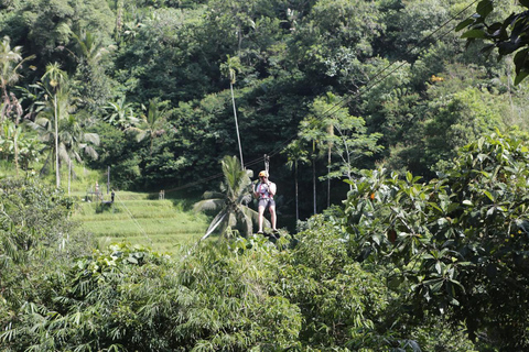Alas Tirta: Bali Swing, Zipline & Hidden Waterfall - Ubud One Swing Package