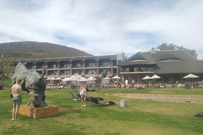 Cape Town: Aquila Big Five Safari with Private Transfers Sunset Safari
