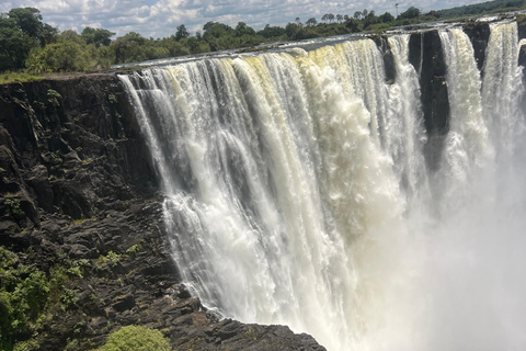 Victoria Falls: Guided Tour with Rainforest Walk