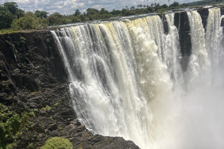 Victoria Falls: Guided Tour with Rainforest Walk