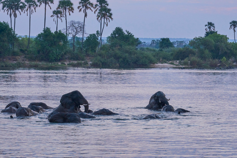 Un tour di un giorno per piccoli gruppi a ChobeTrasferimenti aeroportuali di andata e ritorno per piccoli gruppi all&#039;aeroporto di Victoria Falls