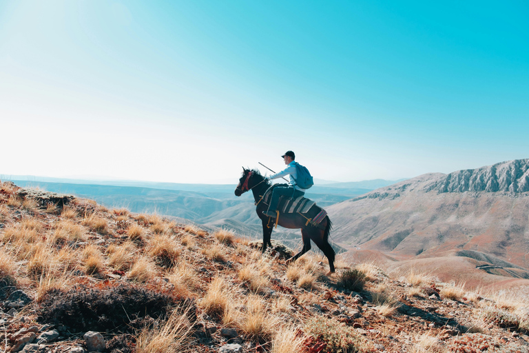 Phoenix: Horseback Ride with Cowboy Breakfast Phoenix: Horseback Ride (2 Hours) with Cowboy Breakfast