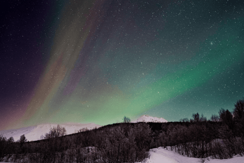 Tromsø: Small-Group Aurora Tour with Free Photos (8 Hours)