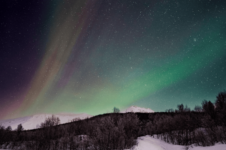 Tromsø: Small-Group Aurora Tour with Free Photos (8 Hours)