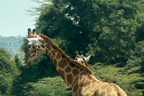 Nairobi: Hell's Gate National Park Guided Day Trip